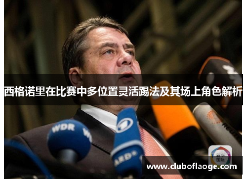 西格诺里在比赛中多位置灵活踢法及其场上角色解析 西格诺里在比赛中多位置灵活踢法及其场上角色解析