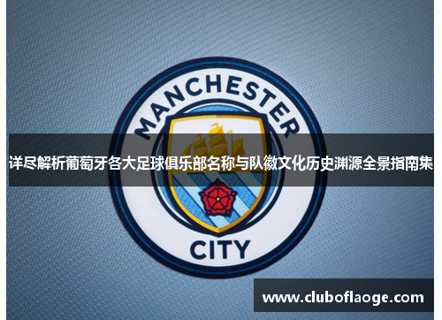 详尽解析葡萄牙各大足球俱乐部名称与队徽文化历史渊源全景指南集