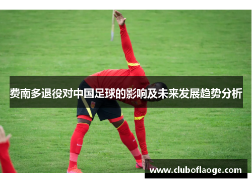 费南多退役对中国足球的影响及未来发展趋势分析
